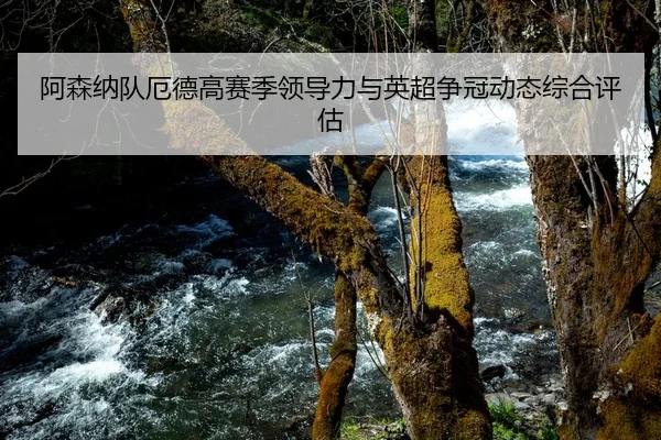 阿森纳队厄德高赛季领导力与英超争冠动态综合评估 | jnsports